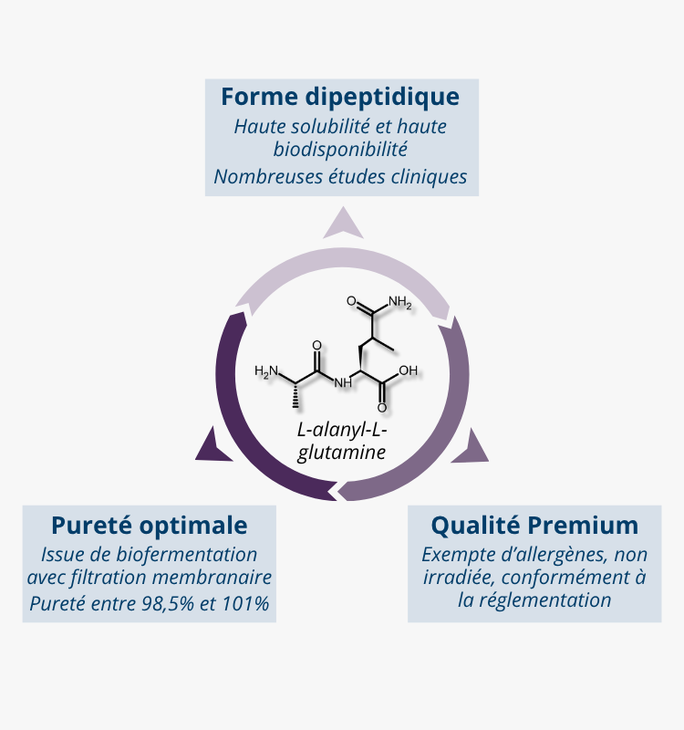 L-alanyl-L-glutamine : une source de glutamine sûre et validée